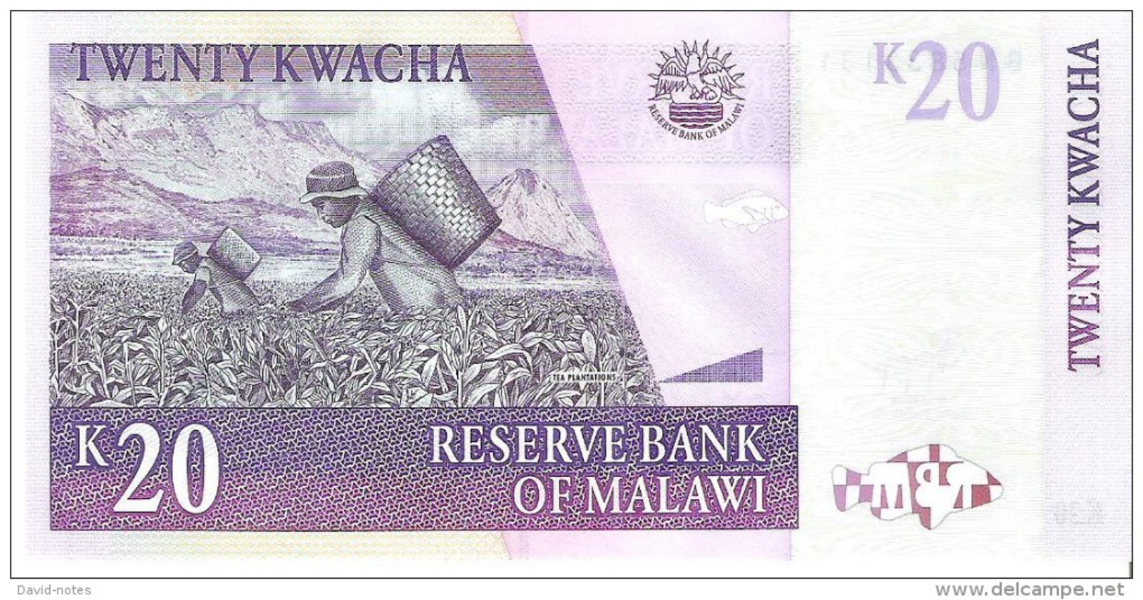Malawi - Pick 52e - 20 Kwacha 2009 - Unc - Malawi