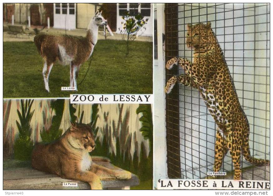 Zoo De LESSAY "La Fosse à La Reine" : Fauves - Sonstige & Ohne Zuordnung