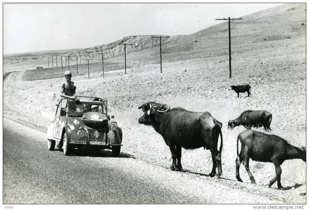 2CV RAID AFRIQUE 1973 Grande Photo - Cars