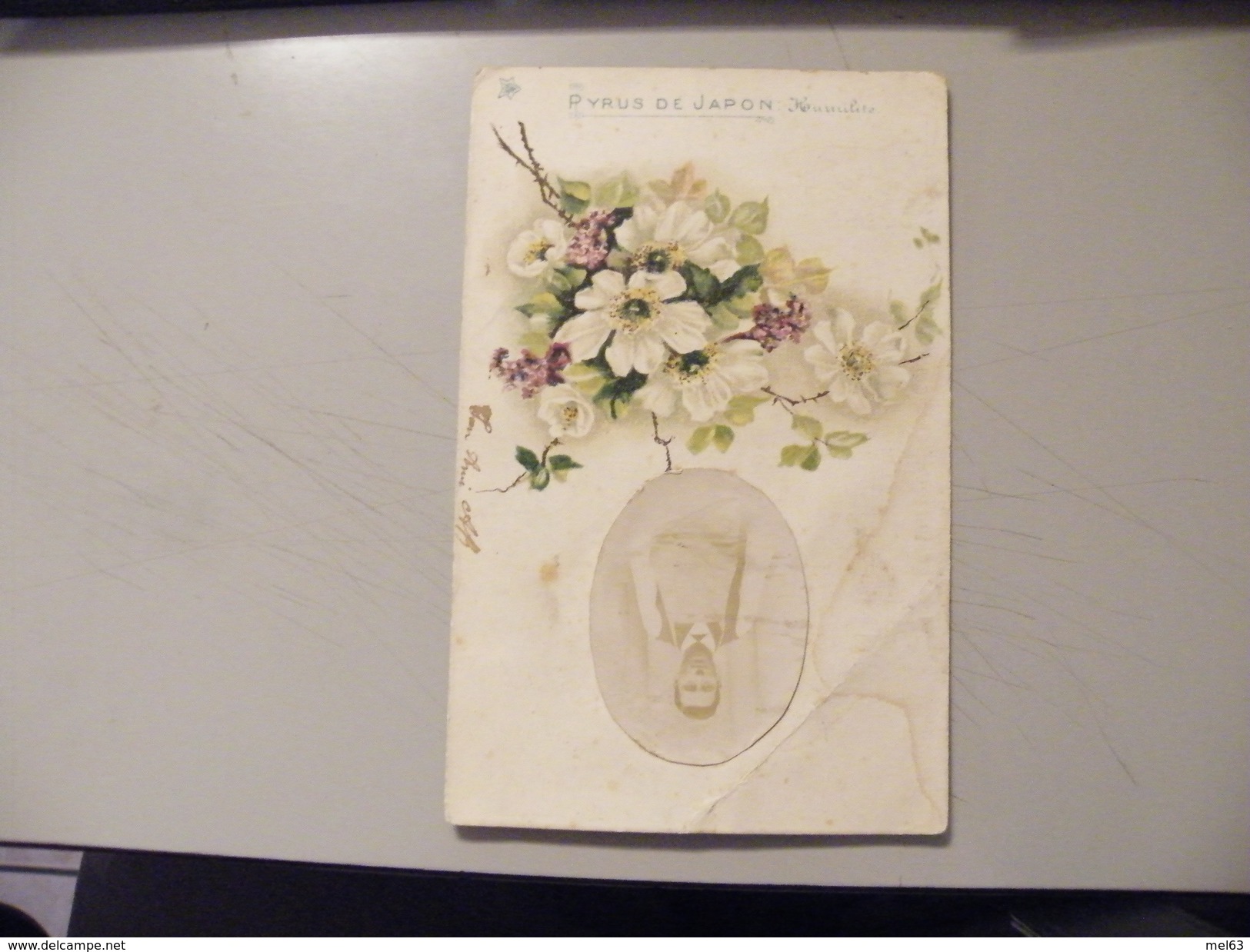 A395. CPA. Fleurs. Pyrus De Japon. ..  Beau Plan .. écrite & Voyagée 1904 - Plantes Médicinales