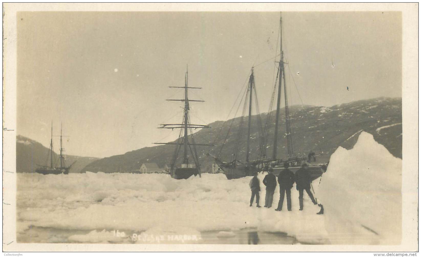 CPA POLAIRE / TERRE NEUVE / St JOHN'S HARBOUR - St. John's