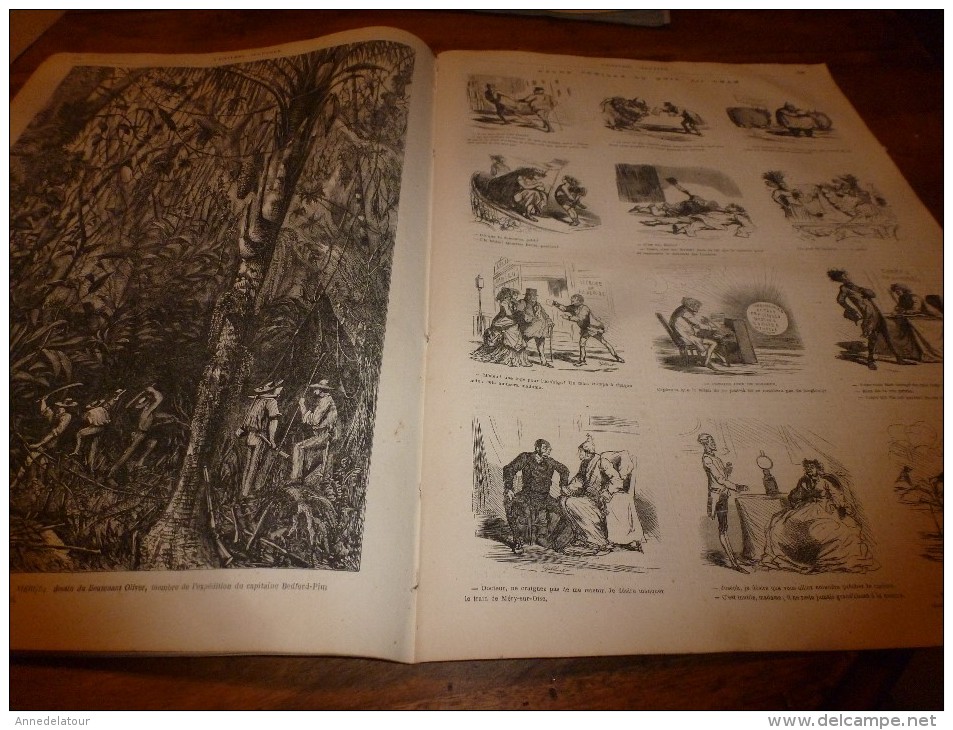 1867 UNIL:Baudelaire;London;Leipzig;Gorilles;Ch d Fer du Brenner;CHASSES (Buffle-Léopard-Serpent) ;Cannibales; Bègues