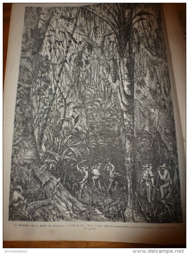 1867 UNIL:Baudelaire;London;Leipzig;Gorilles;Ch d Fer du Brenner;CHASSES (Buffle-Léopard-Serpent) ;Cannibales; Bègues