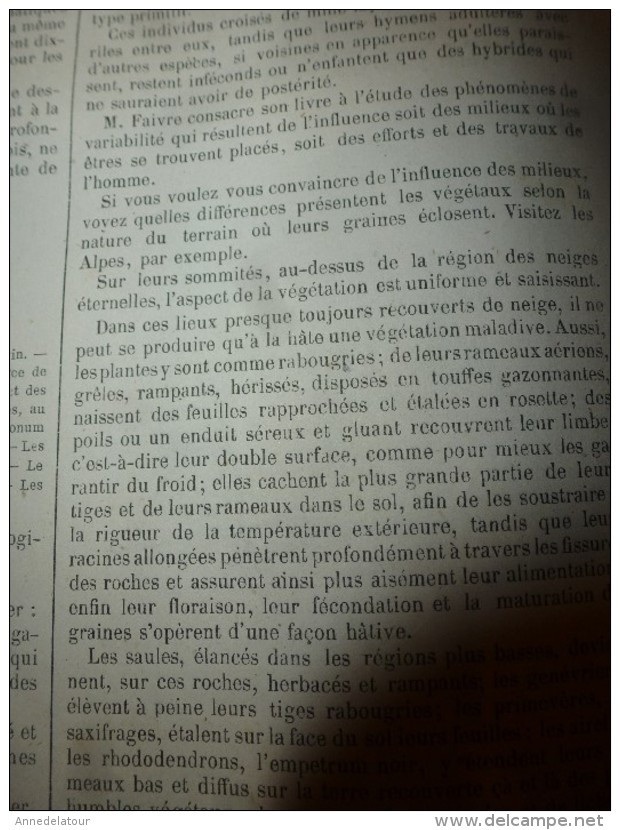 1867 UNIL:Baudelaire;London;Leipzig;Gorilles;Ch d Fer du Brenner;CHASSES (Buffle-Léopard-Serpent) ;Cannibales; Bègues