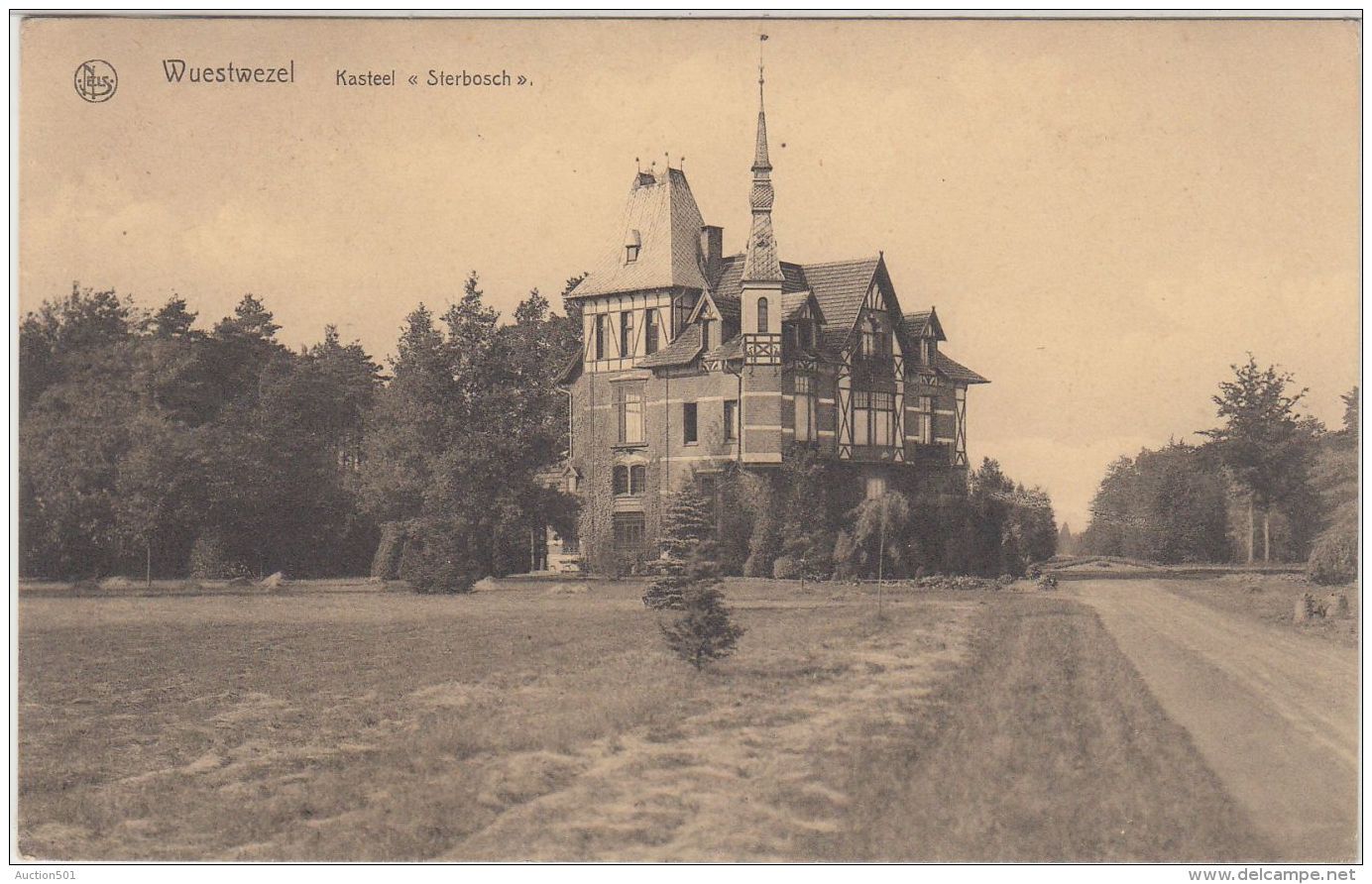 27861g  KASTEEL STERBOSCH - CHATEAU - Wuestwezel - Wuustwezel