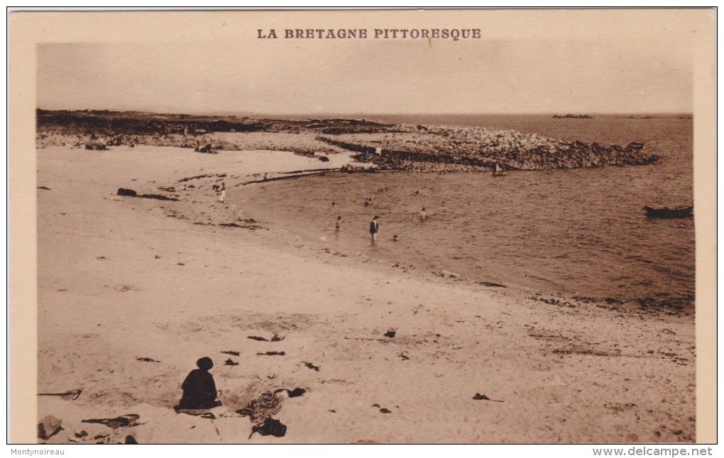 Côtes D  Armor :  ILE  GRANDE : Plage-  Port   Gélin - Autres & Non Classés