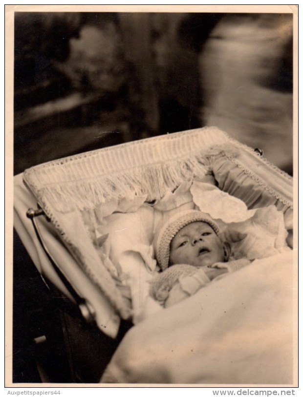 Gros Lot de 120 Photos Sympa sur le thème Nouveaux nés et Tout jeunes bébés avec et sans légendes de 1900 à 1960
