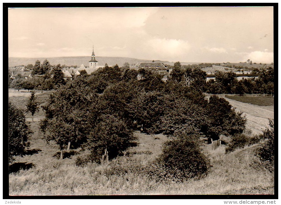 6686 - Alte Ansichtskarte - Meisdorf Ortsteil Falkenstein Kr. Ascherleben - Gel - Aschersleben