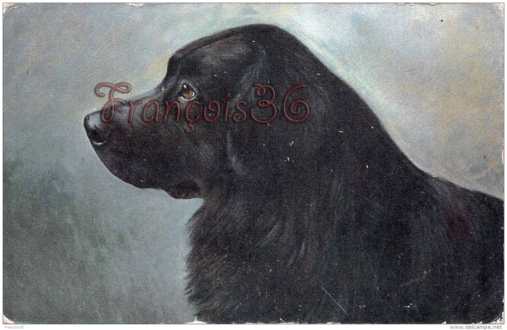 Chien Dog Illustration -  2 Scans - Dogs