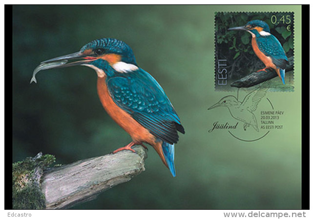 ESTONIA 2014 MAXIMUM CARD. Bird Of The Year - Common Kingfisher - Other & Unclassified