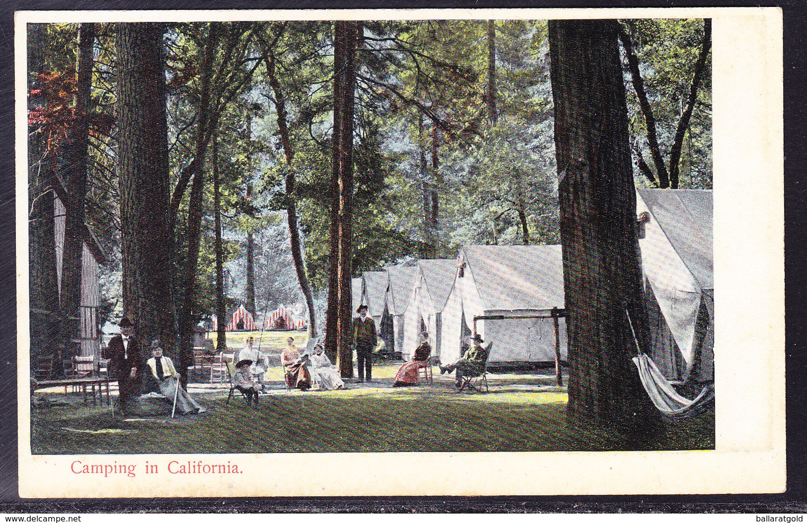 USA C1913 - Camping In California - Unused - Other & Unclassified