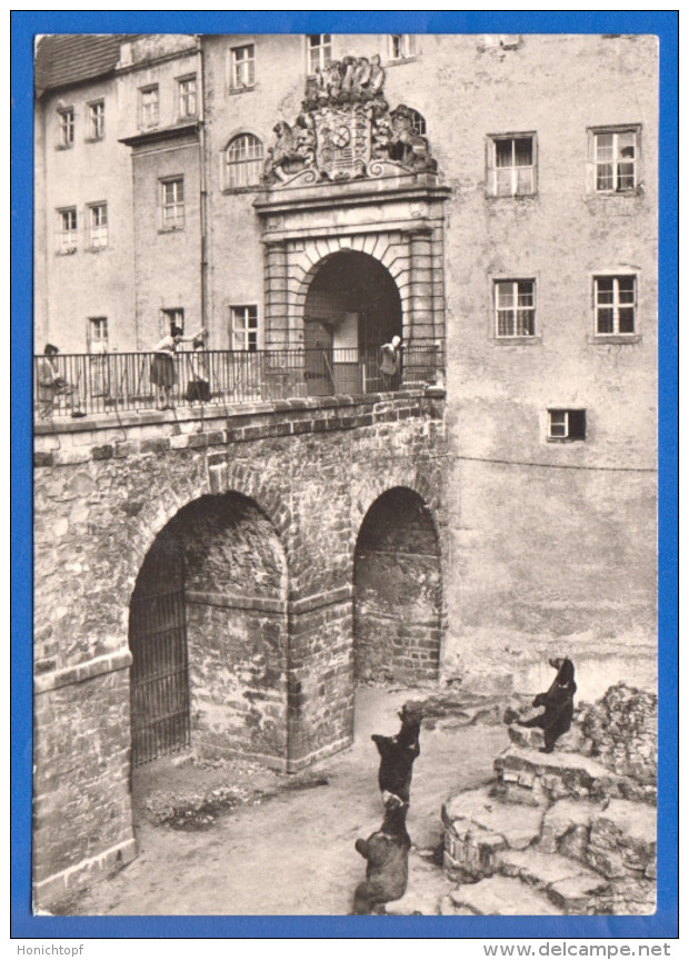 Deutschland; Torgau Elbe; Bärenzwinger Im Schloss Hartenfels - Torgau