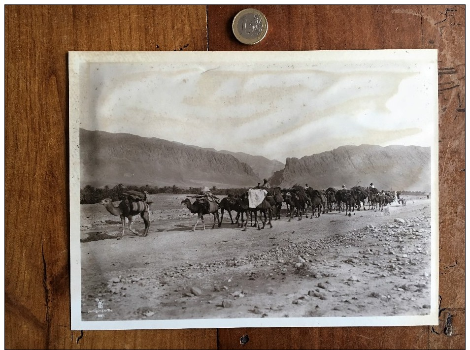 Photographie Ancienne De Photographe Connu Numéro 55 Lehnert Et Landrock - Alte (vor 1900)
