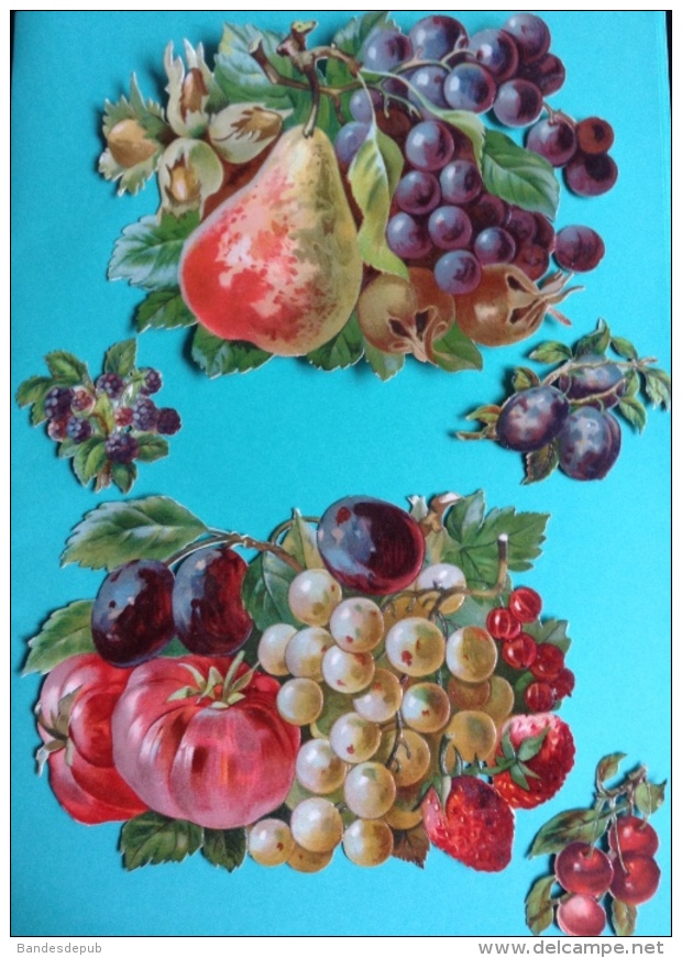 Superbe Chromo Decoupis Fruits Automne Tomate Poire Raisin Noisettes 17x12cm - Motif 'Noel'