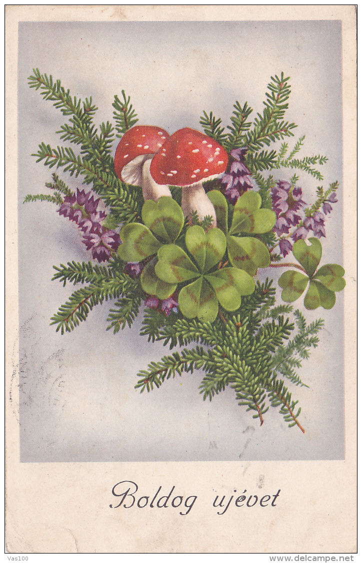 # BV 3232  MUSHROOM, CHAMPIGNON, NEW YEAR, 1941, POST CARD - Mushrooms