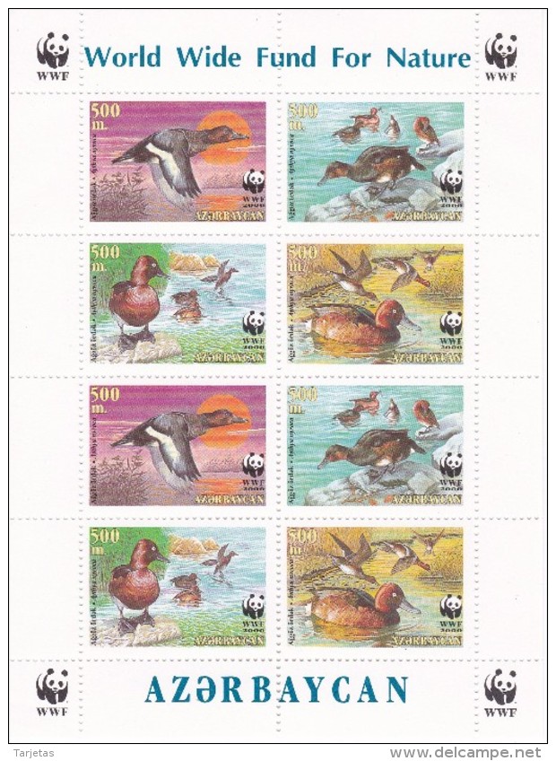 HOJA BLOQUE CON 8 SELLOS DE AZERBAIJAN DE WWF CON  PATOS (BIRD-DUCK) NUEVOS-MINT - Azerbaiján