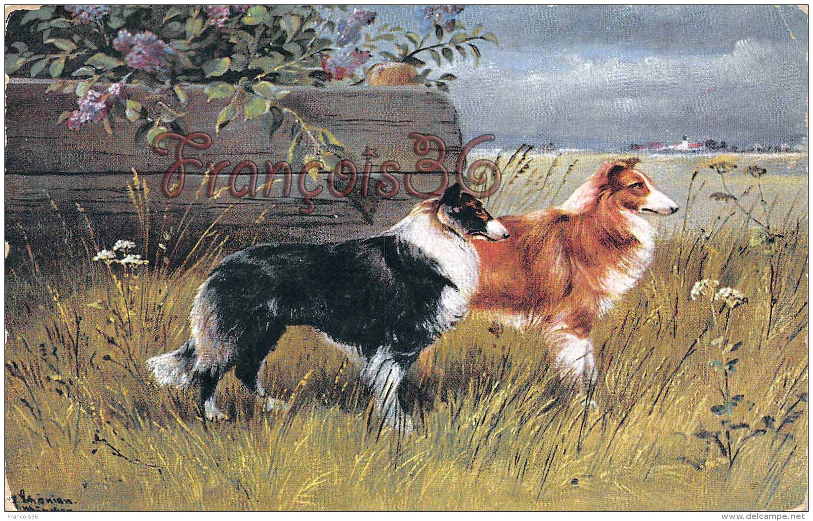 Illustration Chien Dog Colley  - 2 SCANS - Chiens