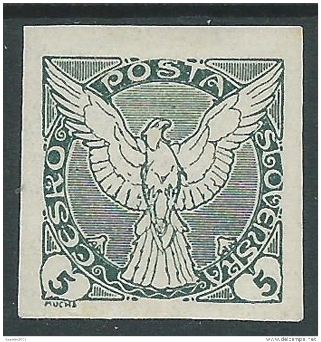 1920 CECOSLOVACCHIA FRANCOBOLLI PER GIORNALI 5 H MH * - CZ7 - Newspaper Stamps