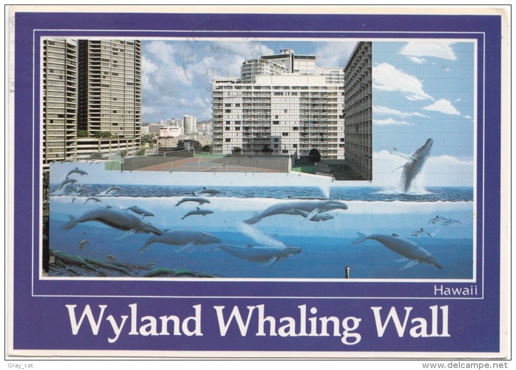 Wyland Whaling Wall, Hawaii, Waikiki Mural, 1986 Used Postcard [18939] - Other & Unclassified