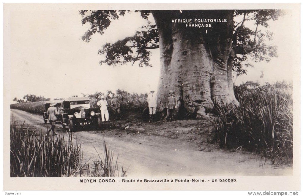 AFRIQUE ÉQUATORIALE FRANÇAISE - MOYEN CONGO : ROUTE BRAZAVILLE à POINTE-NOIRE - VRAIE PHOTO / REAL PHOTO ~ 1930 (v-031) - Pointe-Noire