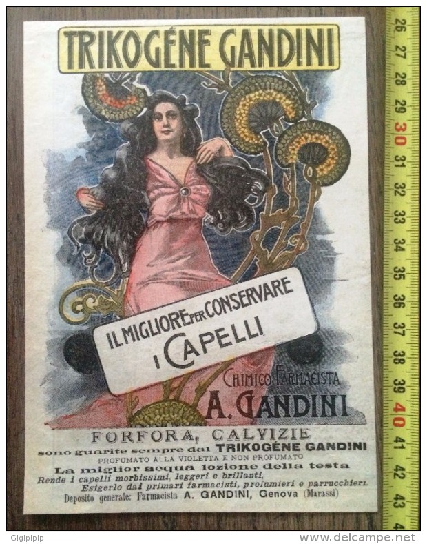 PUBLICITE 1900 TRIKOGENE GANDINI CAPELLI GENOVA MARASSI - Colecciones