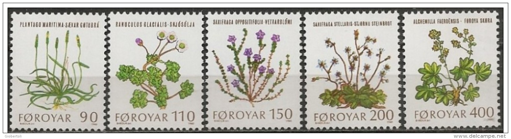 Faroer/Faroe/Féroé: Piante Selvatiche, Wild Plants, Plantes Sauvages - Vegetazione