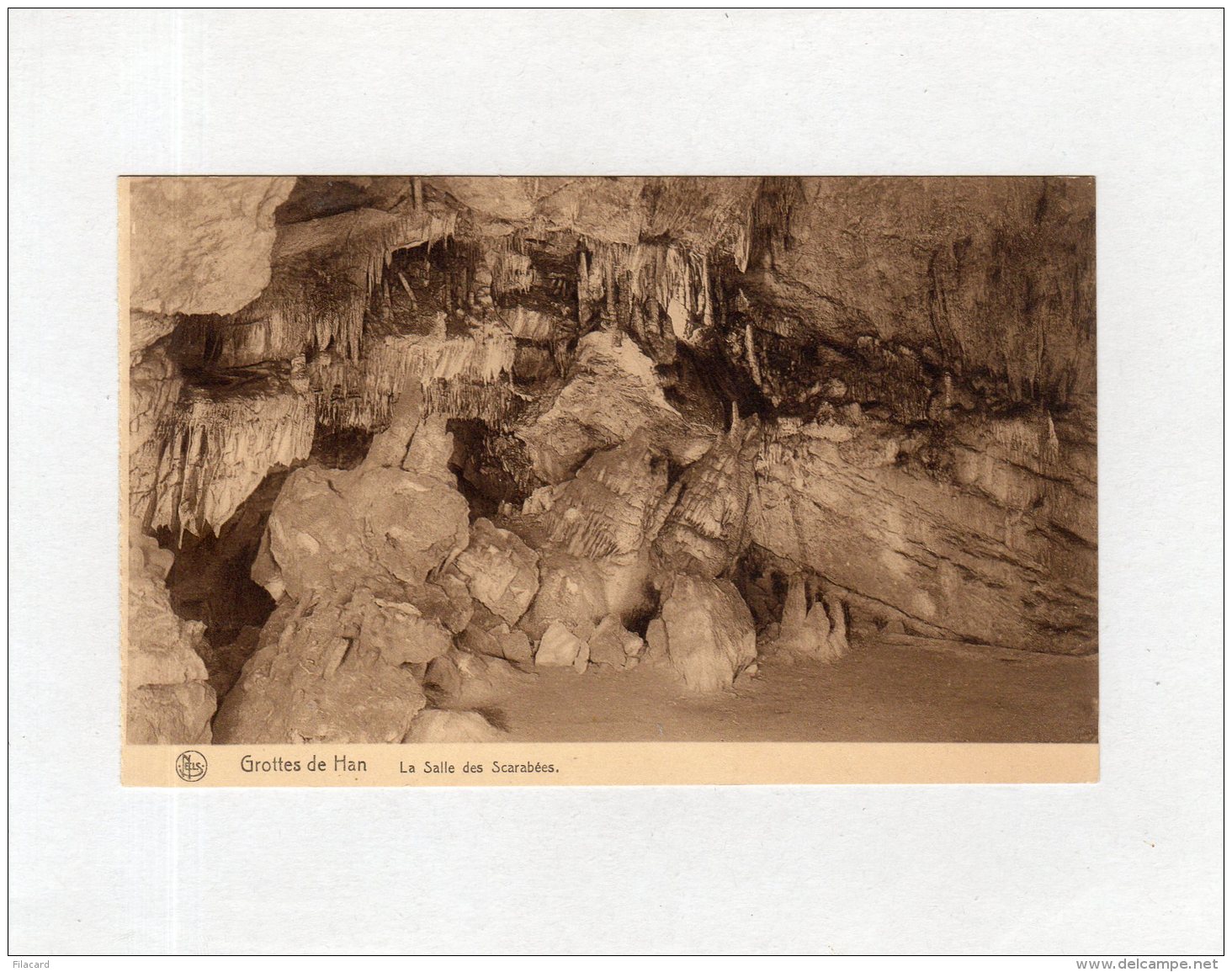 64266    Belgio,   Grotte De Han,  La Salle Des Scarabees,  NV - Rochefort