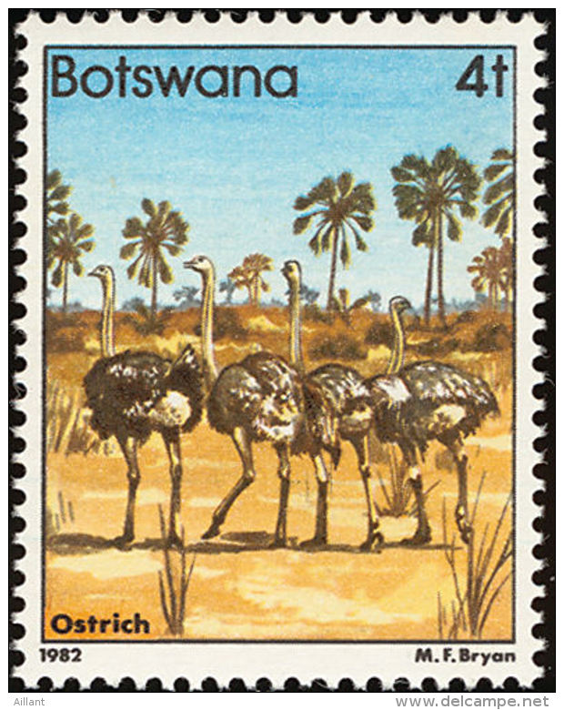 Botswana 1982  Autruche   Common Ostrich     ** - Struisvogels