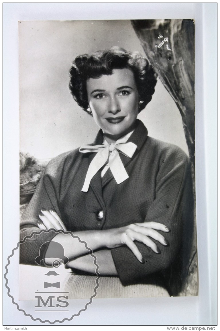 1950's Vintage Real Photo Postcard Cinema Film Actress: Phyllis Thaxter - Attori