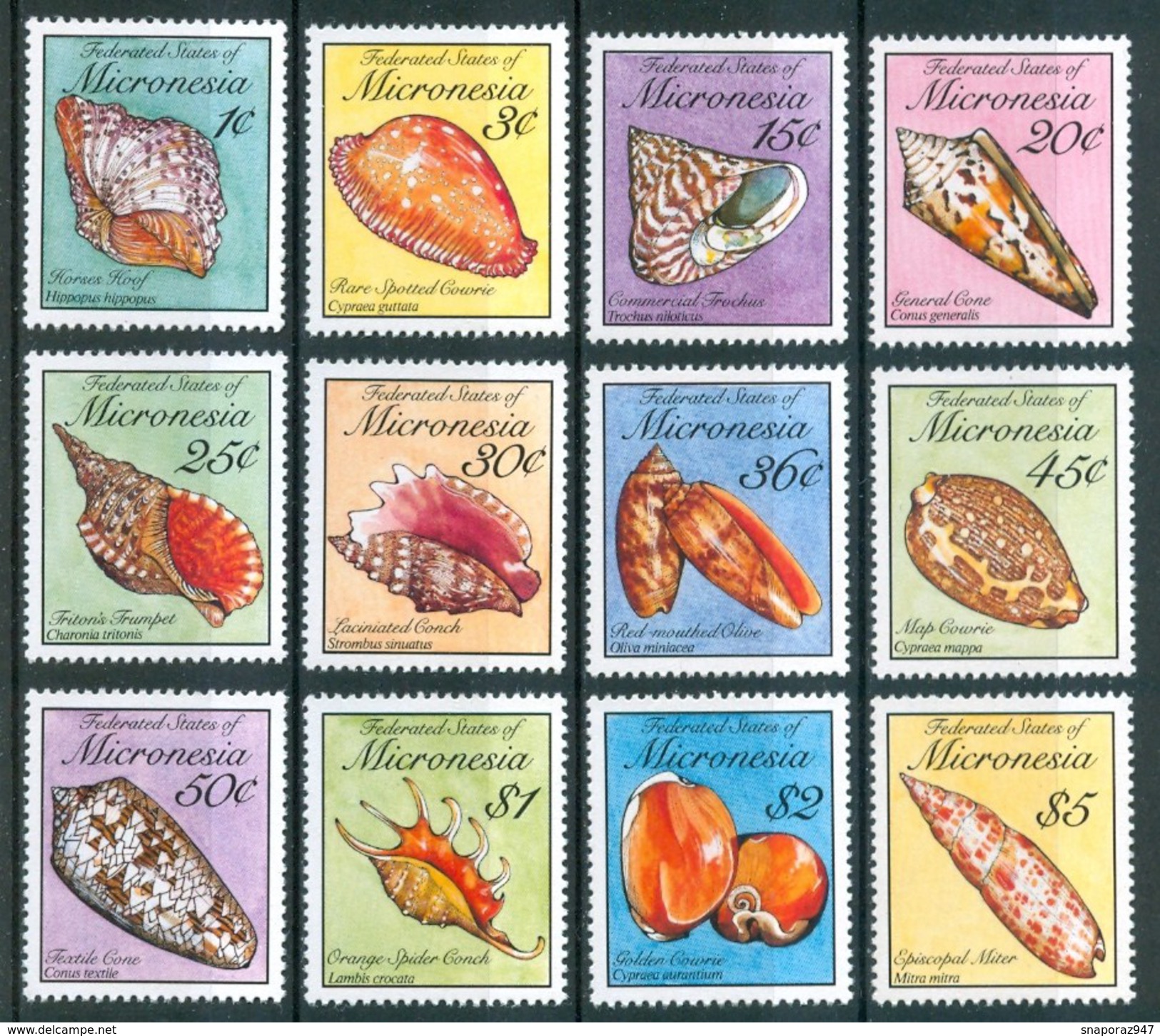 1989 Micronesia Conchiglie Shells Coquilles Set MNH** Fo58 - Conchiglie