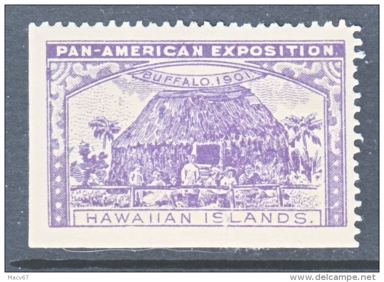 PAN-AMERICAN  EXPO. VIGNETTE   1901  BUFFALO, N.Y.    *  HAWAII - Otros & Sin Clasificación