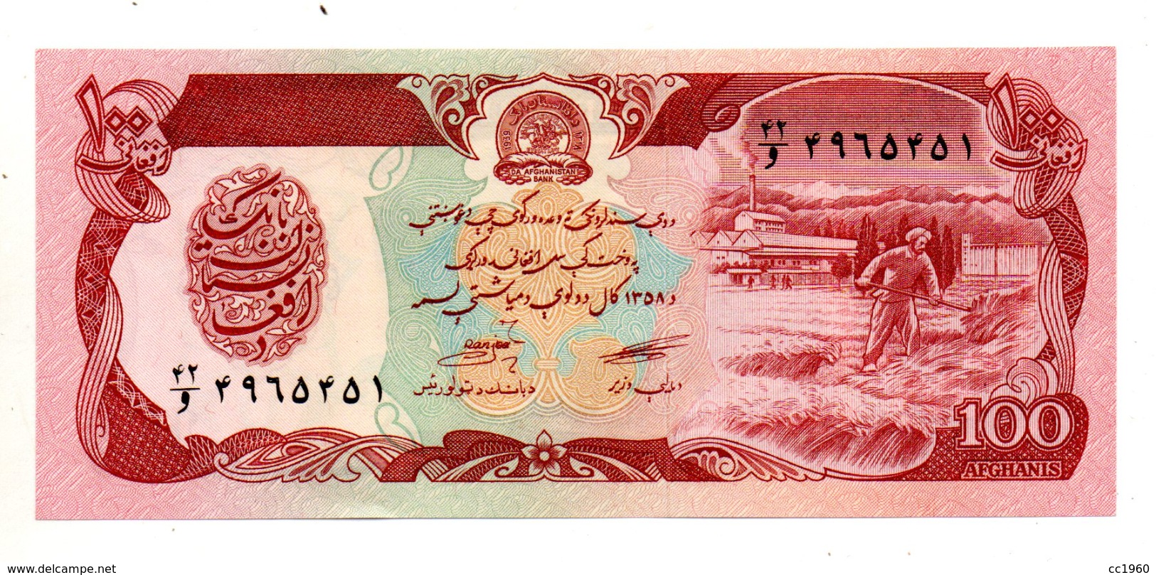 Afghanistan - Banconota Da 100 Afghani - Nuova - (FDC764) - Afghanistan