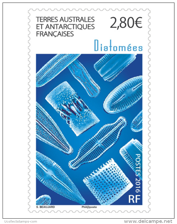 TAAF  2016    Diatomees Edelsteen  Postfris/mnh/neuf - Nuevos