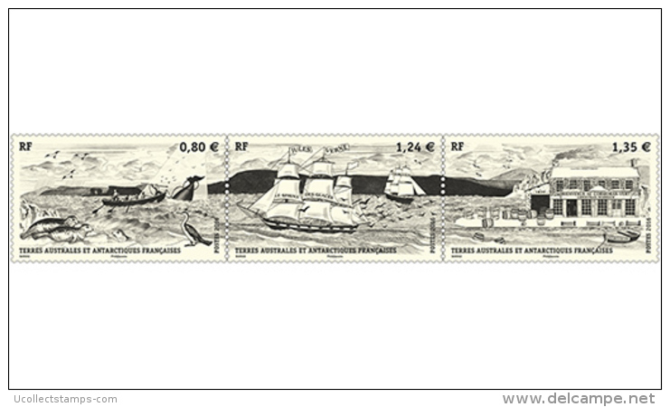TAAF  2016   L'Auberge Cormorant-Vert     Postfris/mnh/neuf - Unused Stamps