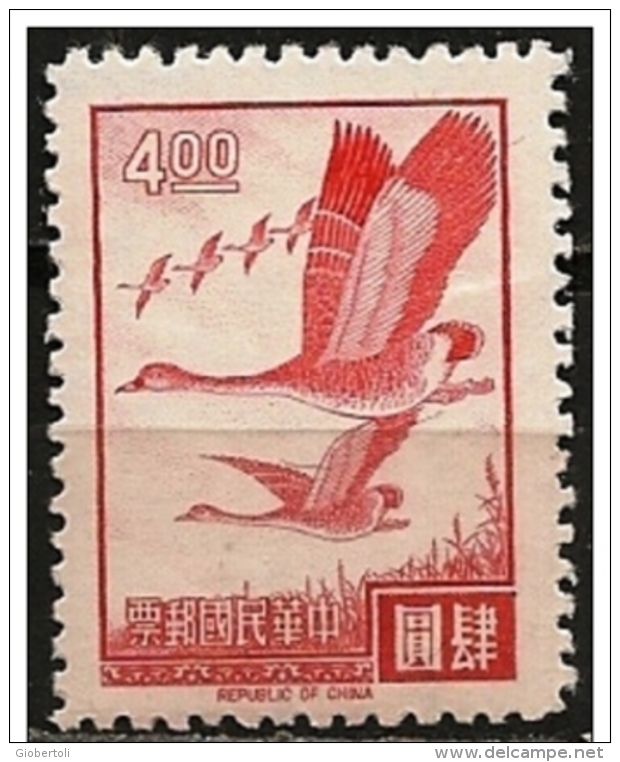 Formsa/Formose/Taiwan: Oca Selvatica, Oie Sauvage, Wild Goose - Gänsevögel