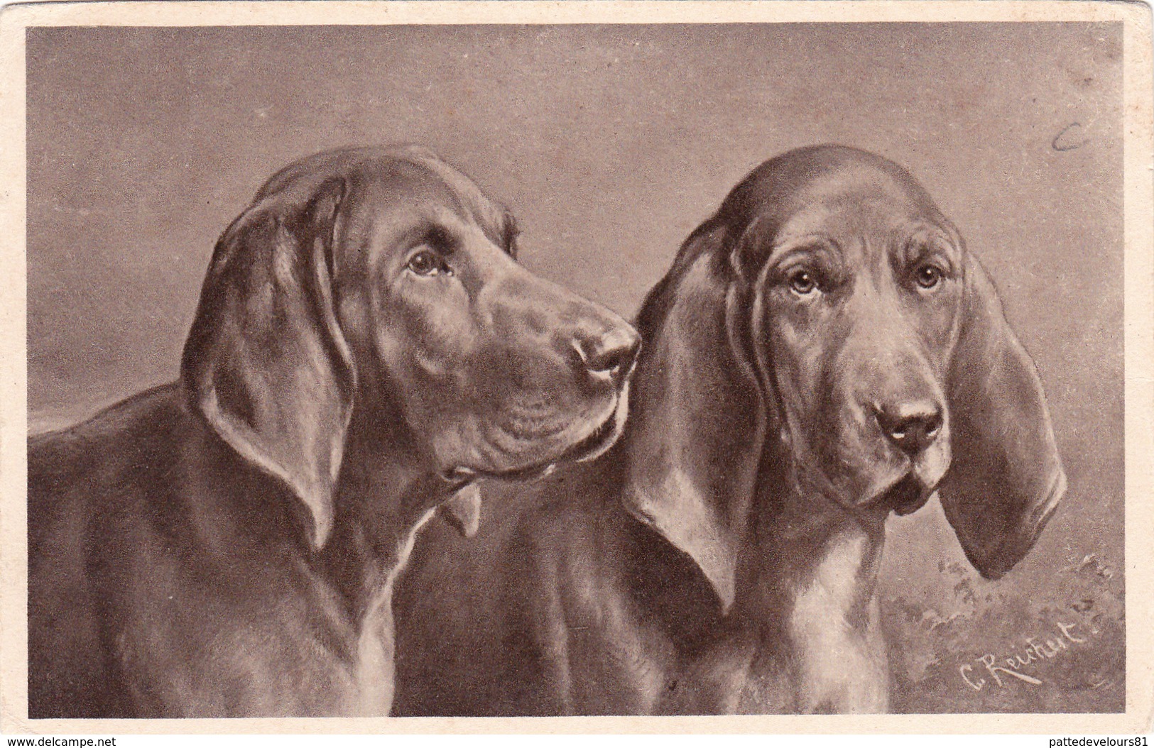 CPA Deux Chiens Dog Basset Teckel Dackel Dachshund  Bassotto Basset  Illustrateur - Chiens