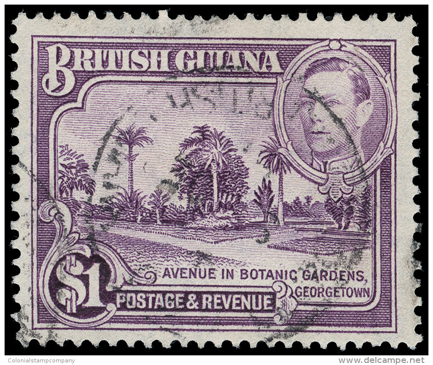 O        239a (317a) 1951 $1 Bright Violet K George VI Botanical Gardens^, Wmkd Script CA, The Rare Perf 14x13,... - Guyane Britannique (...-1966)