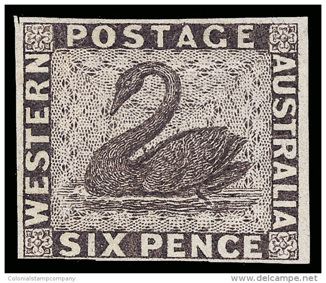 P        16 Var (28 Var) 1860 6d Purple Swan^, Color Trial On Wove Paper, Scarce, Imperf, Four Margins, VF... - Neufs