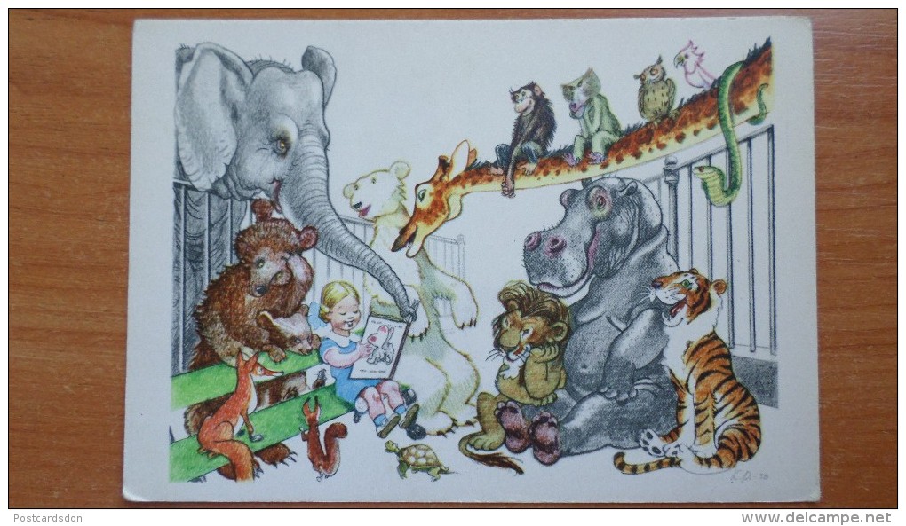 OLD USSR Postcard  - Painter Rotov "Interesting Book" - Bear - Hippo - Turtle - Elephant - 1962 - Nijlpaarden