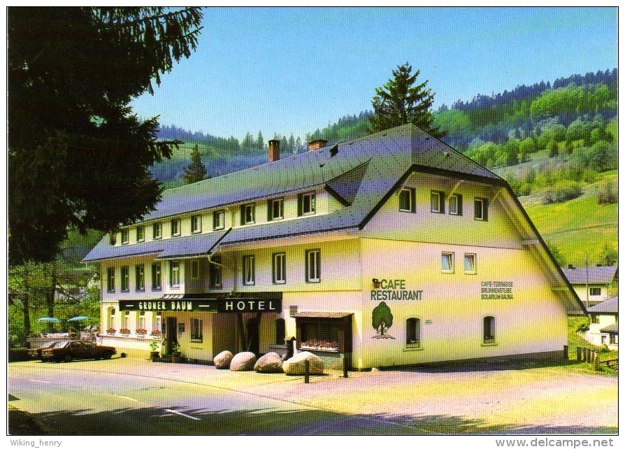 Todtnau Muggenbrunn - Hotel Pension Grüner Baum - Todtnau