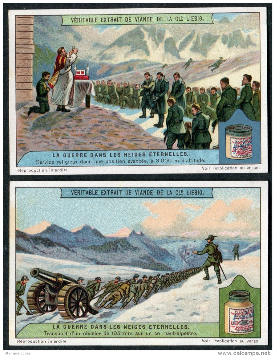 Liebig Set Of 6 Cards -  La Guerre Dans Les Neiges Eternelles S1179 - Liebig