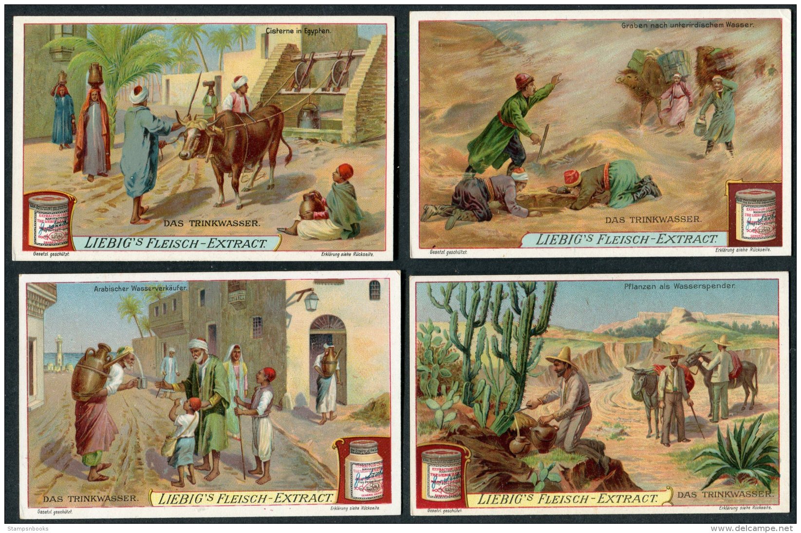 Liebig Set Of 6 Cards -  Das Trinkwasser - Liebig