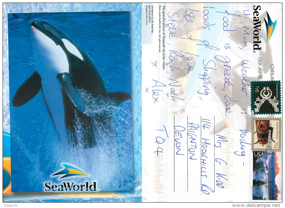 Shamu The Killer Whale, SeaWorld, Florida, United States US Postcard Posted 2012 Stamp - Orlando