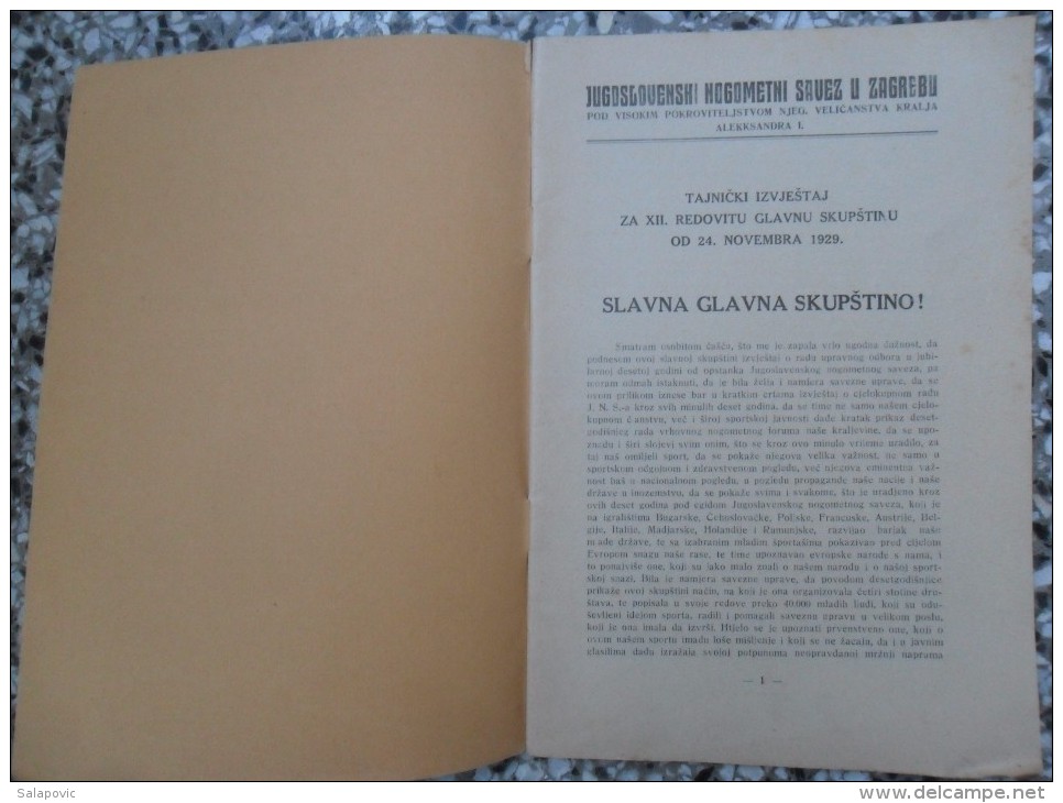 JUGOSLAVENSKI NOGOMETNI SAVEZ, TAJNICKI IZVJESTAJ ZA XII. REDOVITU GLAVNU SKUPSTINU 1929, Kingdom Of Yugoslavia - Gymnastics