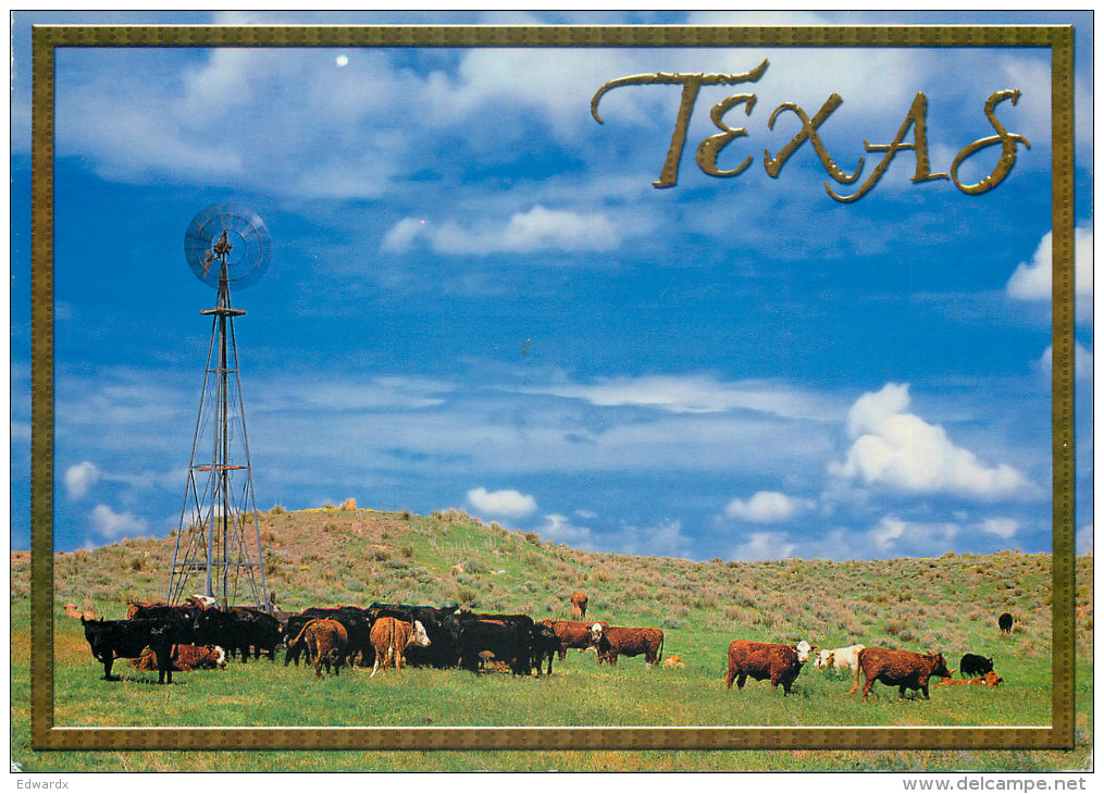 Cattle, Texas, United States US Postcard Posted 2013 ATM Meter - Andere & Zonder Classificatie