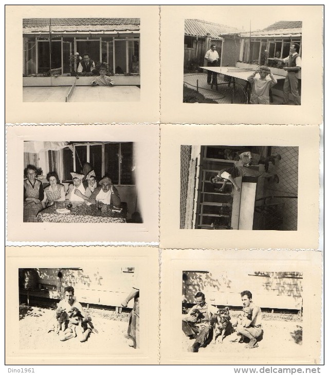PHOTO 376 - Série De 23 Photos Originales 10,5 X 8 - Maison - Chiens - Berger Allemand - VILLEPARISIS - Orte