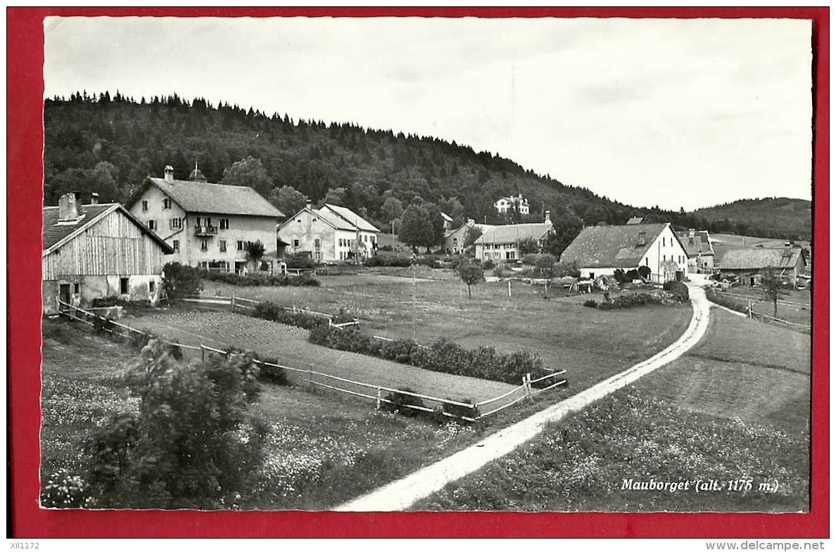 HBI-02  Jura Vaudois ; Maisons à Mauborget Près Ste-Croix. Cachet 1966. Deriaz 8043 - Mauborget