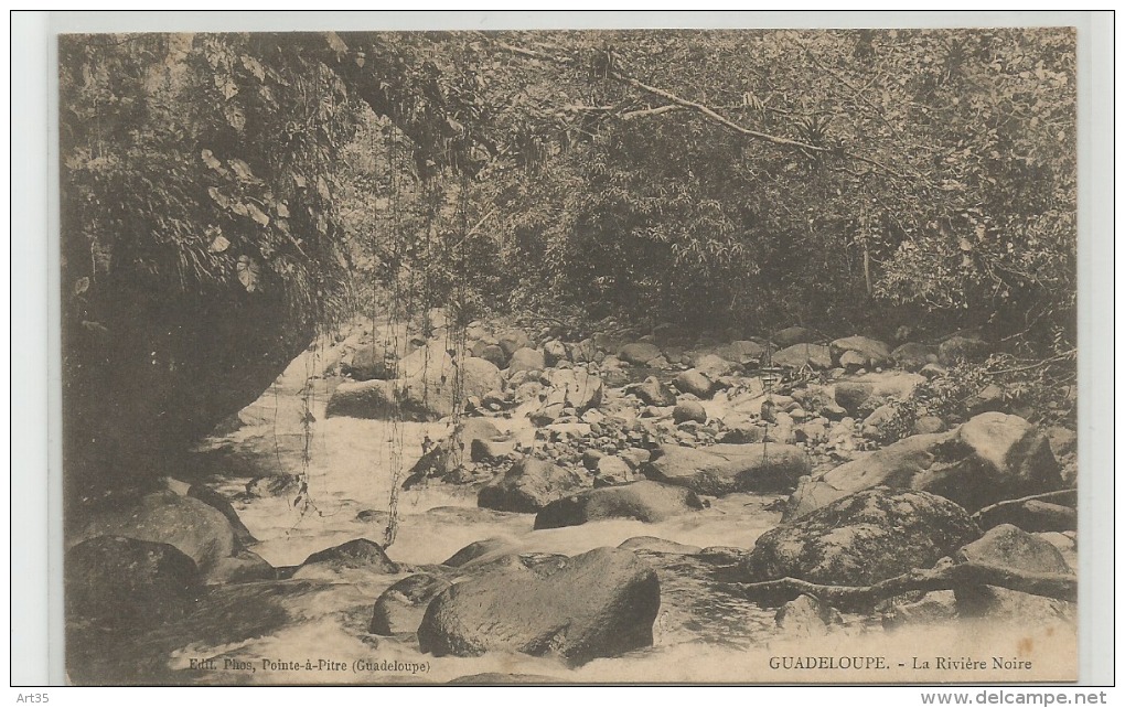 CPA  GUADELOUPE - La Rivière Noire   C241 - Pointe A Pitre