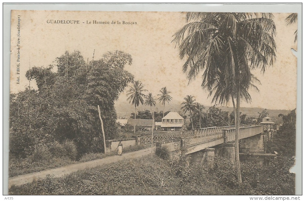 CPA  GUADELOUPE - Le Hameau De La BOUCAN  C241 - Pointe A Pitre