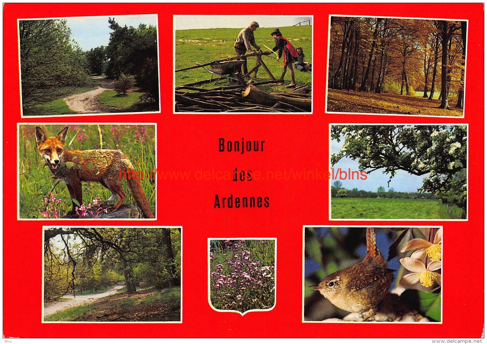 1983 Bonjour Des Ardennes - Butgenbach - Bütgenbach